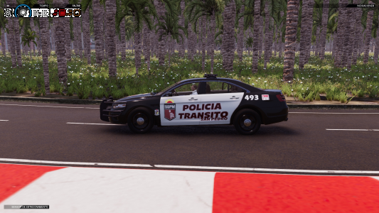 Simulador de coche de policia
